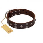 "Skull Valley" Handcrafted FDT Artisan Brown Leather Dogue de Bordeaux Collar with Skulls