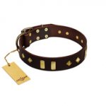 "Blinking Illusion" FDT Artisan Brown Leather Dogue de Bordeaux Collar with Old Bronze-like Studs and Plates