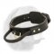 2 ply leather agitation dog collar with handle