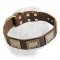 Awesome Dogue de Bordeaux Collar with Brass Plated Adornment