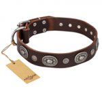 "Extra Pizzazz" FDT Artisan Adorned Brown Leather Dogue de Bordeaux Collar