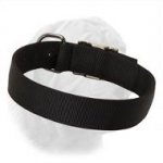2 Ply Nylon All-Weather Dogue de Bordeaux Training/Walking Collar