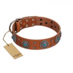 "Blue Sands" FDT Artisan Tan Leather Dogue de Bordeaux Collar with Silver-like Studs and Round Conchos with Stones