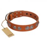 "Woofy Majesty" FDT Artisan Tan Leather Dogue de Bordeaux Collar with Round Silver-like Plates