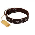 "Trendy Candy" FDT Artisan Brown Leather Dogue de Bordeaux Collar Adorned with Stars and Tiny Squares