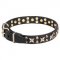 Dogue de Bordeaux Collar with Old-Fashioned Stars and Studs