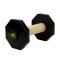 Wooden Dogue de Bordeaux Training Dumbbell with Removable Weight Plates
