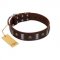 "War Chief" FDT Artisan Genuine Brown Leather Dogue de Bordeaux Collar with Skulls and Plates