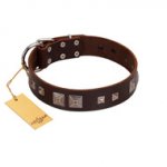 "Object of Virtu" FDT Artisan Brown Leather Dogue de Bordeaux Collar with Old Silver-like Square Studs and Pyramids