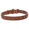 "Yellow Star" Narrow Leather Dogue de Bordeaux Collar