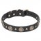 Stylish Leather Dogue de Bordeaux Collar with Brass Circles and Small Studs