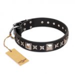 'Space Walk' FDT Artisan Black Leather Dogue de Bordeaux Collar with Adornments