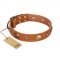 "Visual Magic" FDT Artisan Tan Leather Dogue de Bordeaux Collar for Daily Activities