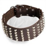Studded Dogue de Bordeaux Collar for Stylish Walks