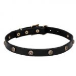 Leather Dogue de Bordeaux Collar with Engraved Round Studs
