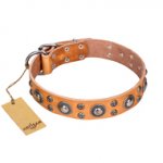 'Extra Sparkle' FDT Artisan Handcrafted Dogue de Bordeaux Tan Leather Dog Collar