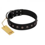 "Flower Rhapsody" FDT Artisan Premium Quaulity Black Leather Dogue de Bordeaux Collar