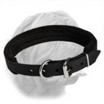 Dependable Padded Leather Collar for Dogue de Bordeaux