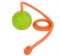 Solid Dog Training Ball on String 2 1/3 inch (6 cm) in Diameter - Medium