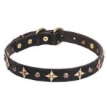 'Milky Way' Leather Dogue de Bordeaux Collar with Bronze-Plated Studs and Stars