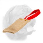 Hypoallergenic Jute Bite Tug for Dogue de Bordeaux Puppy Training