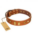 "Woofy Dawn" FDT Artisan Tan Leather Dogue de Bordeaux Collar with Plates and Rhombs