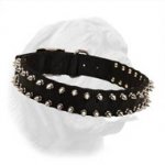 Black Nylon Spiked Dogue de Bordeaux Collar