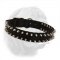 Black Nylon Spiked Dogue de Bordeaux Collar