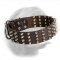 Spiked Dogue de Bordeaux Leather Collar