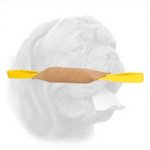 Well-Stuffed Leather Dogue de Bordeaux Bite Tug