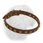 Even Pyramidal Spikes Decorated Leather Collar for Dogue de Bordeaux