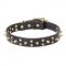 Splendid Dogue de Bordeaux Collar with Brass Studs and Spikes