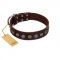 "Starry-Eyed" Best Quality FDT Artisan Brown Designer Leather Dogue de Bordeaux Collar with Small Plates