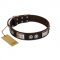 "Baller Status" FDT Artisan Brown Leather Dogue de Bordeaux Collar Adorned with a Set of Chrome Plated Studs and Plates