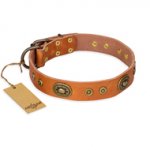 "Dandy Pet" FDT Artisan Handcrafted Tan Leather Dogue de Bordeaux Collar