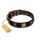 "Crazy Pirate" FDT Artisan Brown Leather Dogue de Bordeaux Collar with Old Bronze-Plated Skulls and Plates