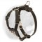 Fashionable Handcrafted Leather Harness for Dogue de Bordeaux Puppies