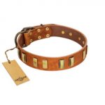 "Olive Slice" FDT Artisan Tan Leather Dogue de Bordeaux Collar with Engraved and Smooth Plates