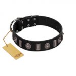 "Silver Spikes" Exclusive FDT Artisan Black Leather Dogue de Bordeaux Collar