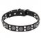 Leather Dogue de Bordeaux Collar with Silver-like Circles and Round Studs