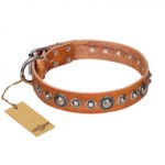 "Daily Chic" FDT Artisan Tan Leather Dogue de Bordeaux Collar with Decorations