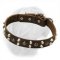 1 1/5 Inches Wide Dogue de Bordeaux Spiked-Studded Leather Collar with Buckle