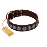 "Charming Circles" FDT Artisan Brown Leather Dogue de Bordeaux Collar with Silver-like Studs
