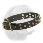 Studded Luxurious Dogue de Bordeaux Collar
