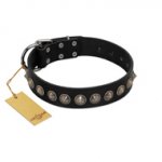 "Black Eagle" Handcrafted FDT Artisan Black Leather Dogue de Bordeaux Collar with Silver-Like Adornments
