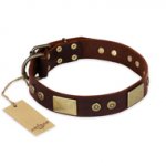 "Shining Armour" FDT Artisan Brown Leather Dogue de Bordeaux Collar with Decorations