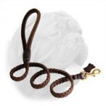 Awesome Braided Dogue de Bordeaux Leash