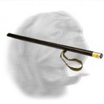 Incredible Dogue de Bordeaux Training Agitation Stick