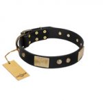 "Antique Gloss" FDT Artisan Black Leather Dogue de Bordeaux Collar with Bronze-like Plates and Small Studs