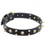 Remarkable Dogue de Bordeaux Leather Collar with Spikes and Skulls